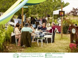 Festival Mar de Tethys 2026 - Bodega Vetas